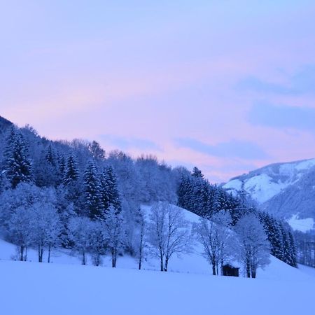 Appartement Herzogbauer Saalfelden Luaran gambar