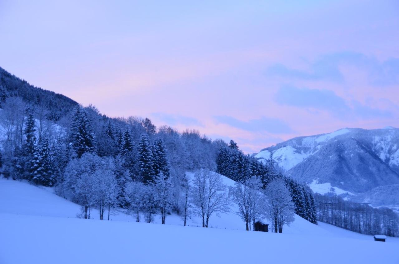 Appartement Herzogbauer Saalfelden Luaran gambar